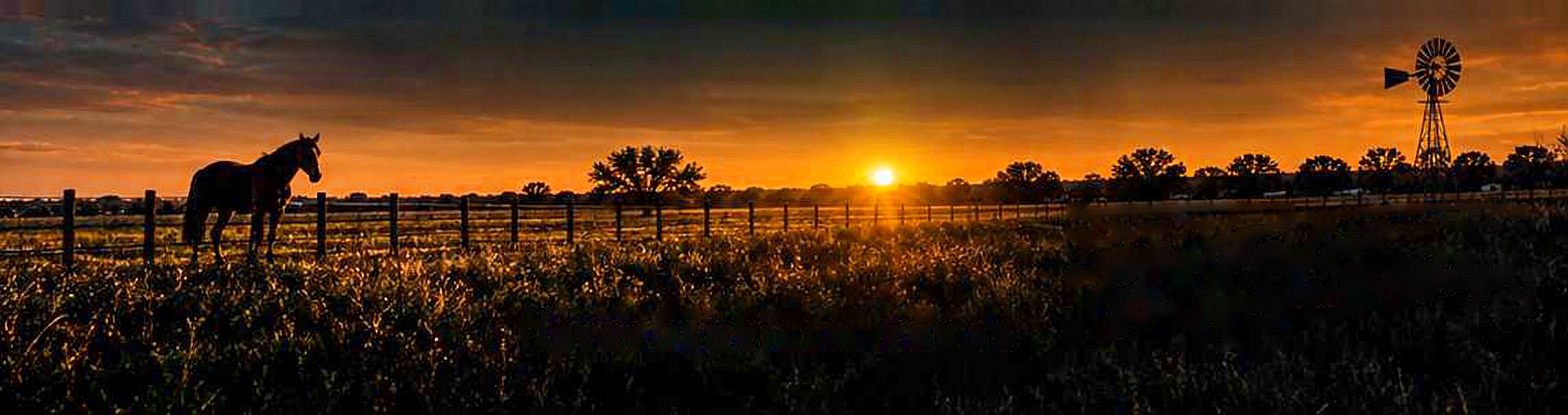 A horse at a ranch fence at sunset near Stephenville, Texas, with a windmill on the horizon.